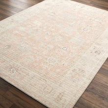 Marlene Damask Blush Area Rug - Becki Owens x Livabliss