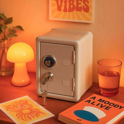Mini Storage Locker with key and combination lock – STUDIO GONKA